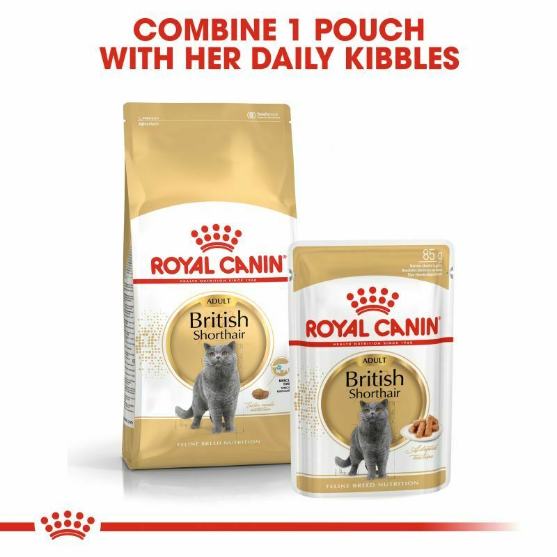 Royal Canin British Shorthair Adult