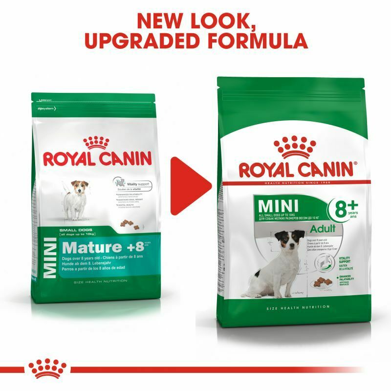 Royal Canin Mini Adult 8+