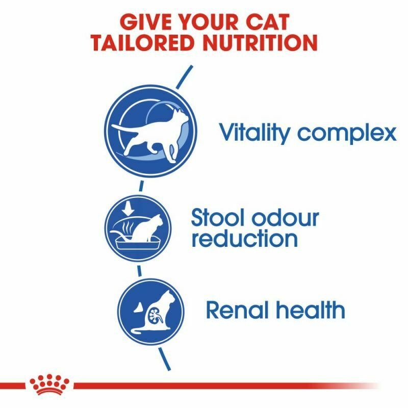 Royal Canin Indoor 7+ Cat