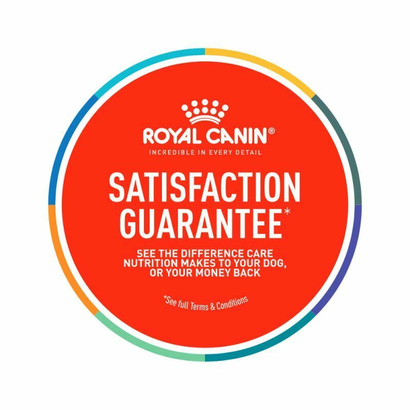  Royal Canin Medium Dermacomfort