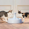 PetSafe Drinkwell Cat Fountain - 360