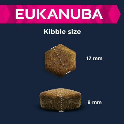 Eukanuba Senior Large & Giant Breed – Lamb & Rice