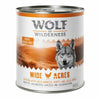 Wolf of Wilderness Adult Saver Pack 24 x 800g
