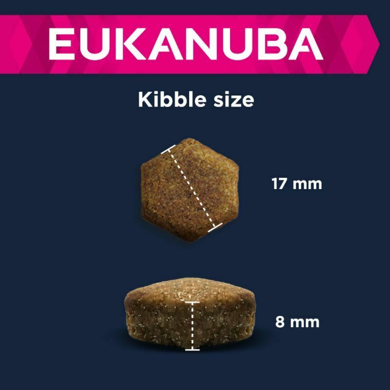 Eukanuba Senior Large & Giant Breed – Lamb & Rice .