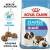 Royal Canin Giant Starter - Mother & Babydog