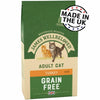 James Wellbeloved Adult Cat Grain Free - Turkey