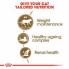 Royal Canin Ageing 12+ Cat