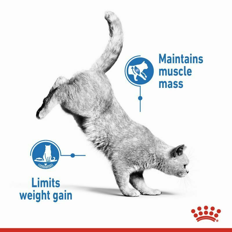 Royal Canin Light Weight Care Cat