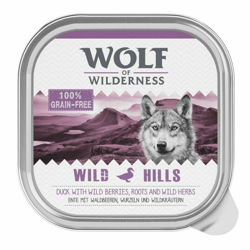 Wolf of Wilderness Adult Saver Pack 24 x 300g