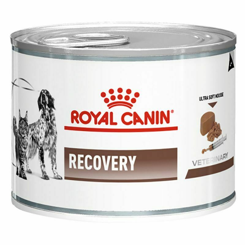 Royal Canin Veterinary Diet Dog & Cat – Recovery
