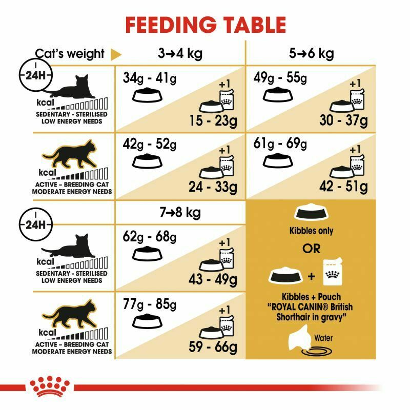 Royal Canin British Shorthair Adult