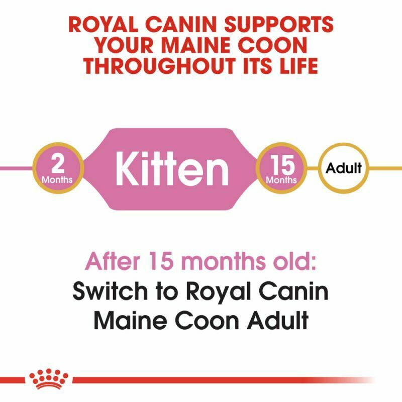 Royal Canin Maine Coon Kitten