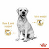 Royal Canin Breed Wet Labrador Retriever