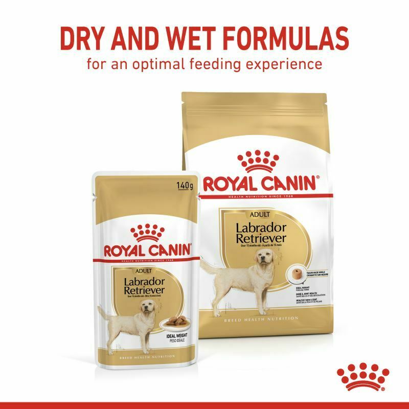 Royal Canin Breed Wet Labrador Retriever