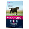 Eukanuba Dog Food Economy Packs