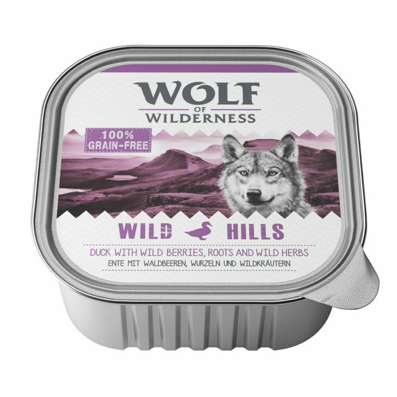 Wolf of Wilderness Adult Saver Pack 24 x 300g