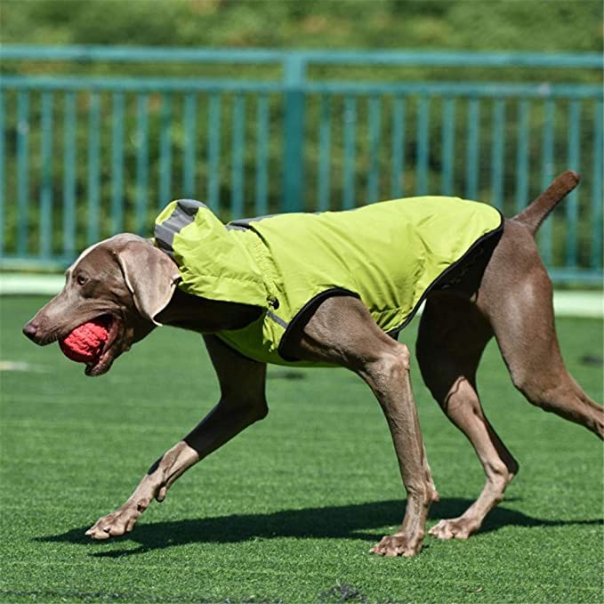 Dog Raincoat Jumpsuit Rain Coat for Dogs Pet Cloak Labrador Waterproof Windproof Golden Retriever Jacket Clothes