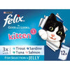 Felix Kitten AGAIL Mixed Variety Fish (12Pk) 100g