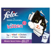 Felix Kitten AGAIL Mixed Variety (12Pk) 100g