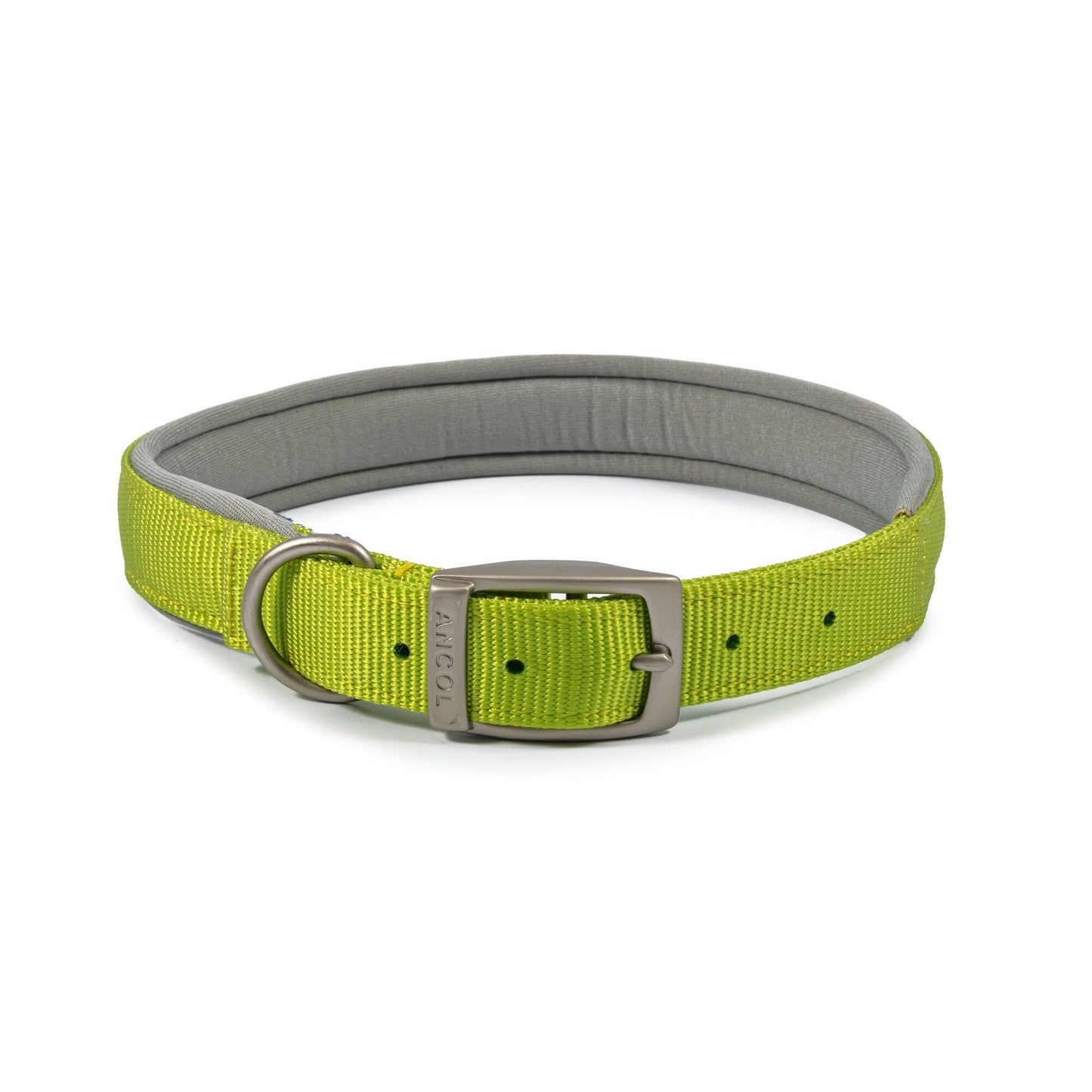 Ancol Viva Padded Nylon Buckle Collar Lime M 39-48cm Size 5 x 1