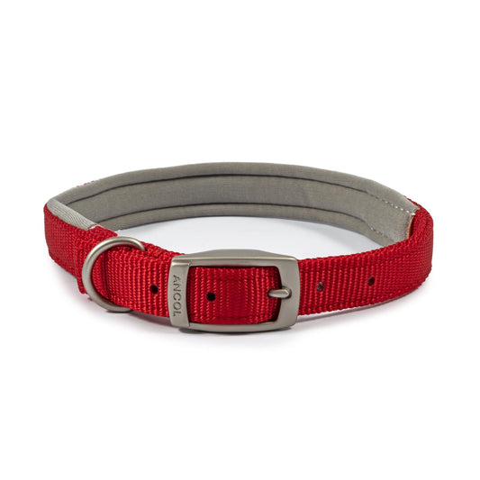 Ancol Viva Padded Nylon Buckle Collar Red M 39-48cm Size 5 x 1