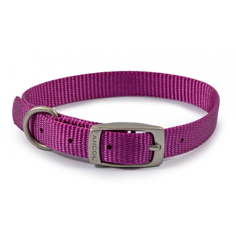 Ancol Viva Nylon Buckle Collar 20-26cm Size 1 Purple x 1