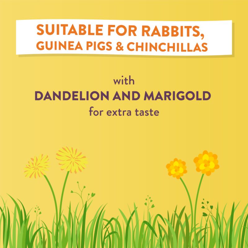 Burgess Excel Feeding Hay with Dandelion & Marigold