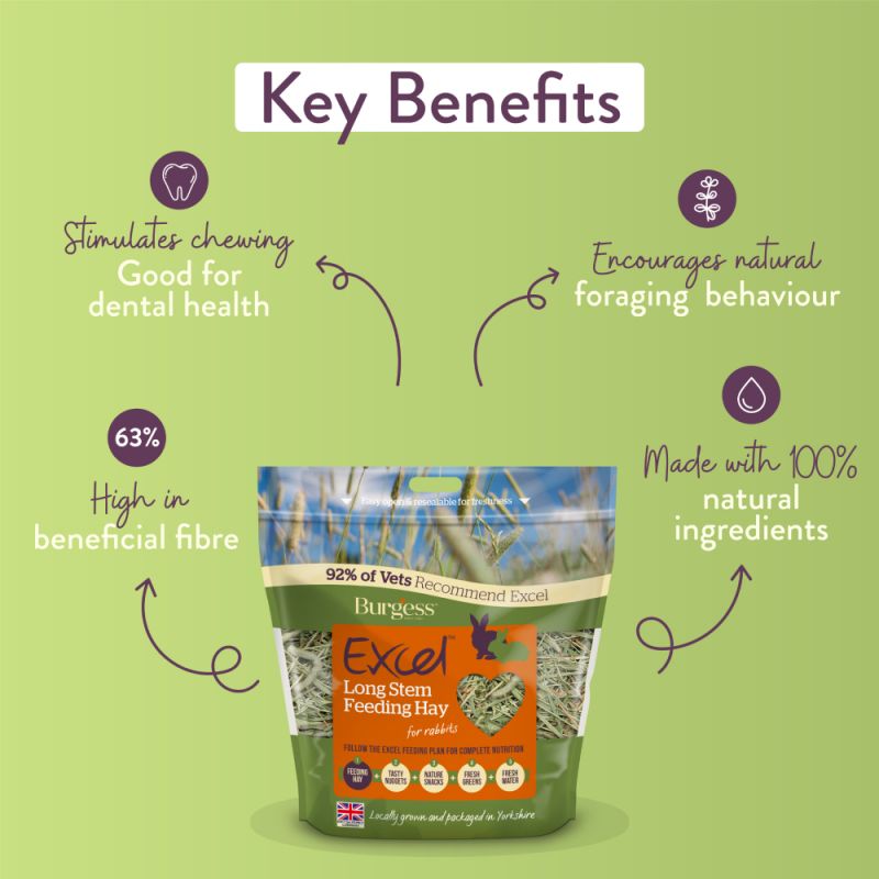 Burgess Excel Long Stem Feeding Hay