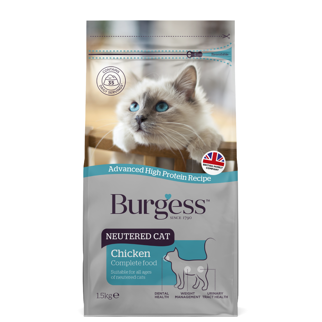 BURGESS NEUTERED CAT