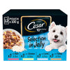 Cesar Selection in Jelly 12 x 100g