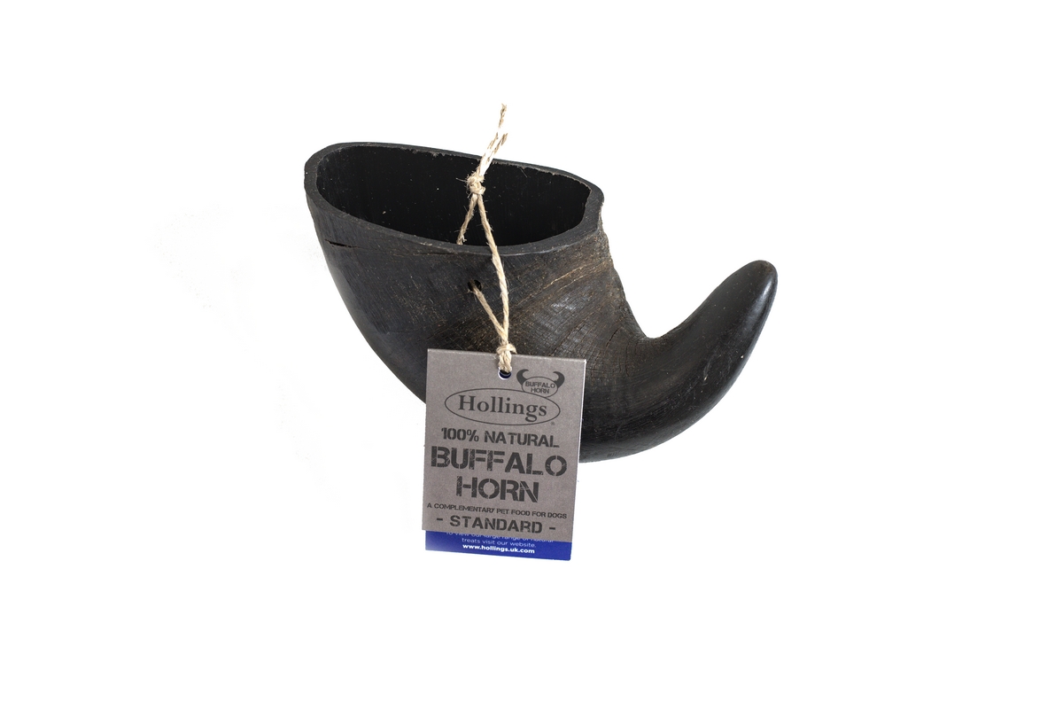 Buffalo Horn Jumbo