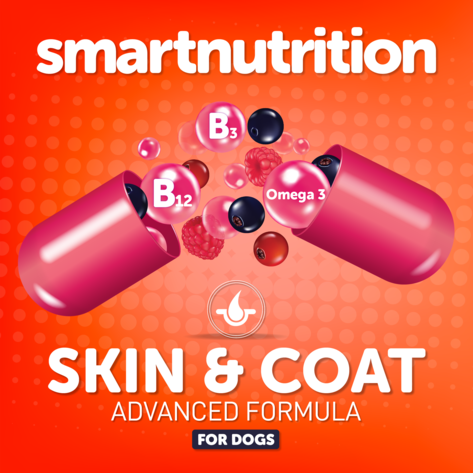 Skin & Coat Advanced Capsules