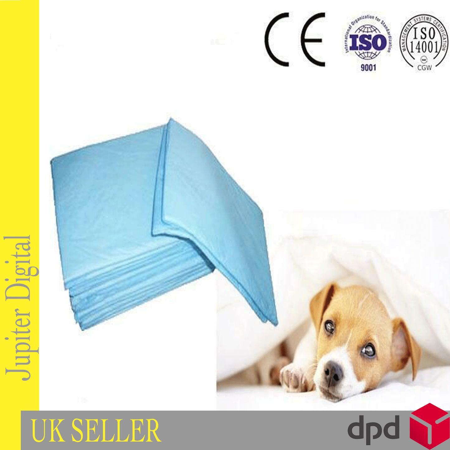 PET DOG CAT RABBIT  TRAINING PADS TOILET PEE WEE MAT  Petsraw