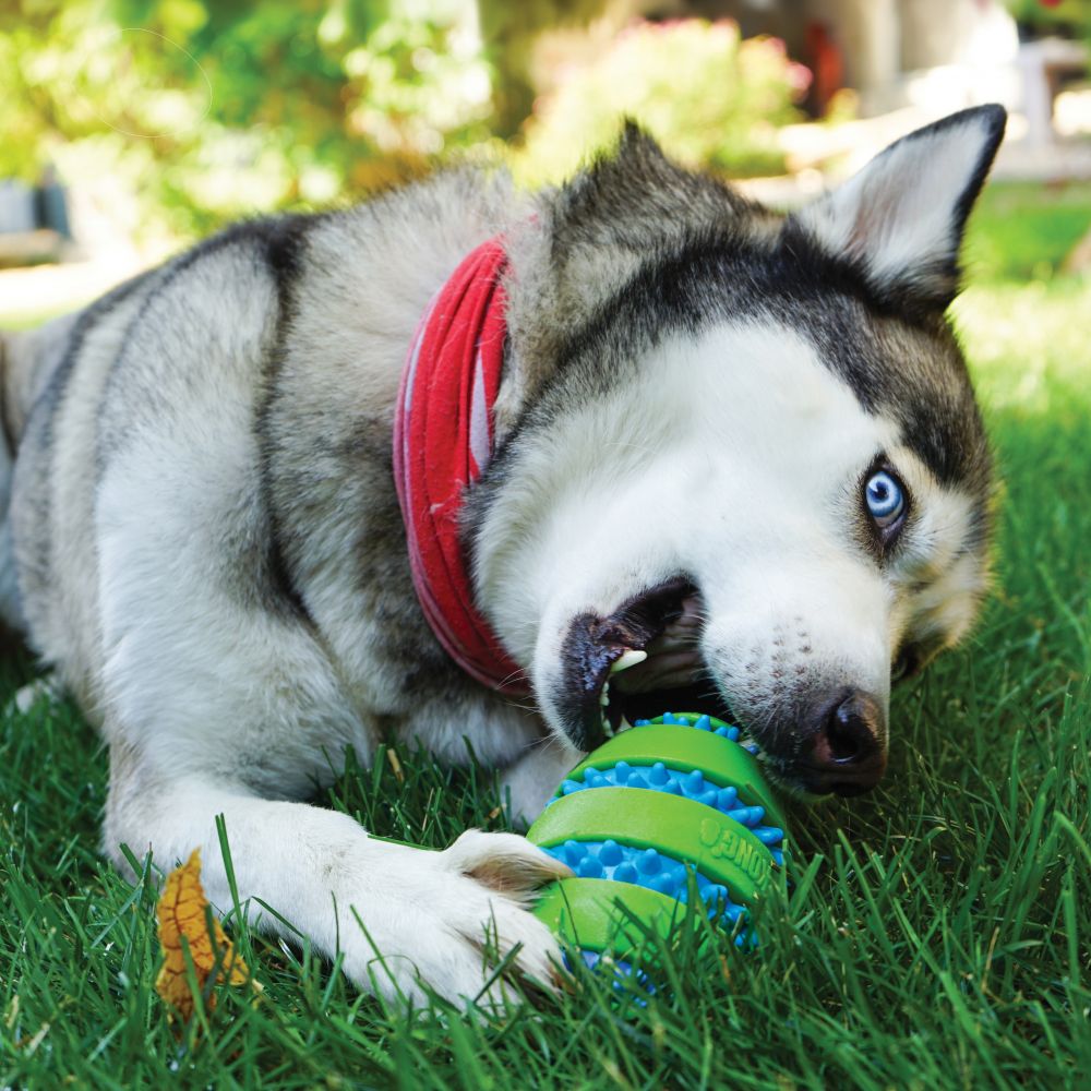 Kong Squeezz® Goomz Ball Medium