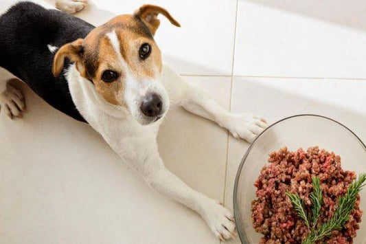 SOUTHCLIFFE Tripe Mince