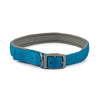 Ancol Viva Padded Nylon Buckle Collar Blue L 45-54cm Size 6 x 1