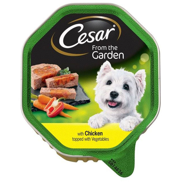 Cesar Country Kitchen Adult Wet Dog Food Tray Beef Turkey in Gravy 150g