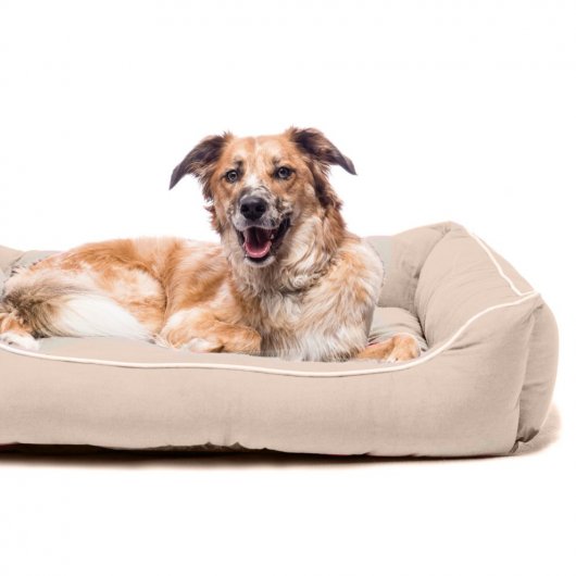 Dog Gone Smart Lounger Bed Sand