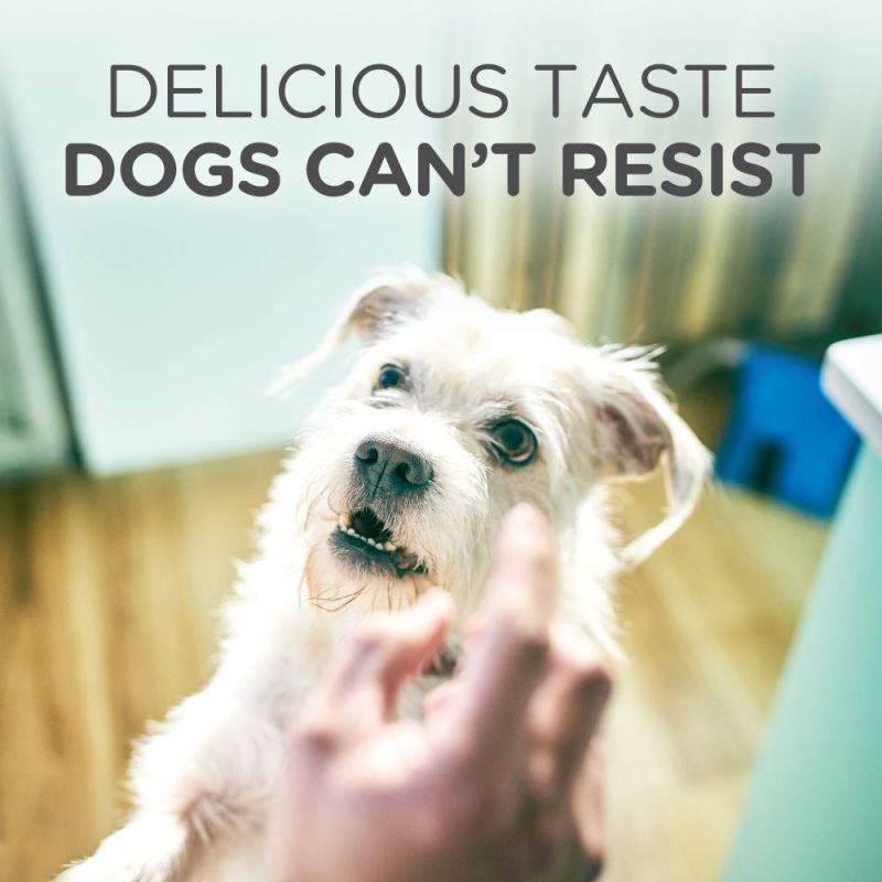 Hill's HypoAllergenic Dog Treats
