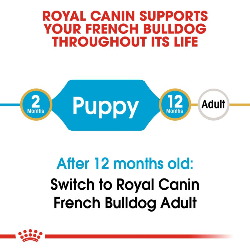 Royal Canin French Bulldog Puppy