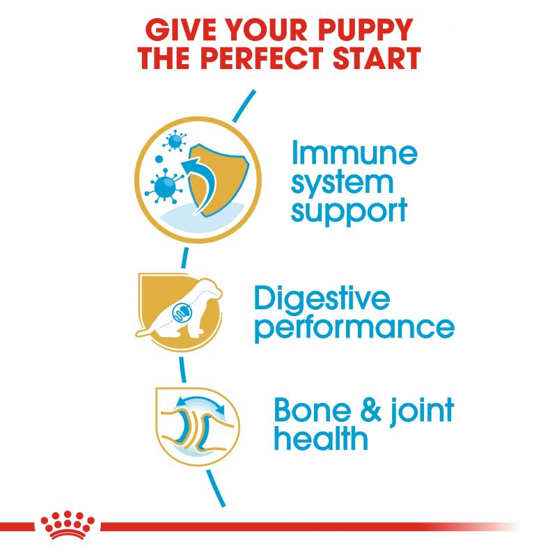 Royal Canin Breed Health German Shepherd Dry Puppy Food 12kg