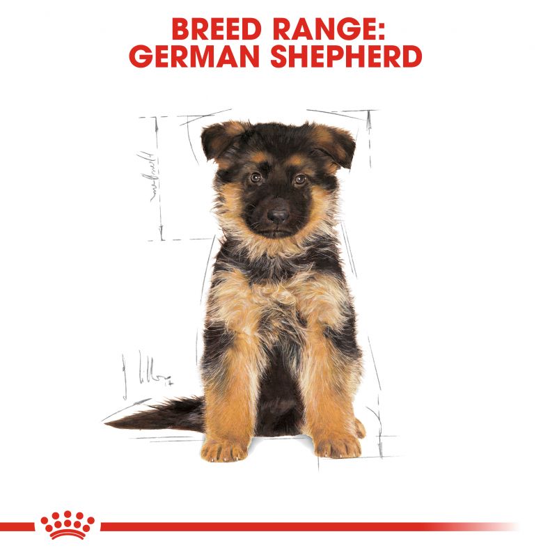 Royal Canin Breed Health German Shepherd Dry Puppy Food 12kg