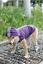 Puppy Pet Dog Rain Coat Reflective Waterproof Hooded Jacket Vest Outdoor Clothes Petsraw